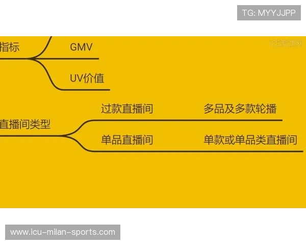 体育电商大促活动策划与选品策略 体育电商大促活动策划与选品策略